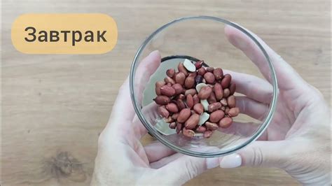 РЕЦЕПТЫ ПОХУДЕНИЯ Маши Тафье: это еда, которую можно есть БЕЗ ...