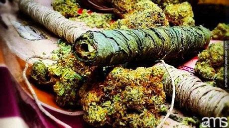 Thai Stick Weed: Exploring Exotic Cannabis Delights!