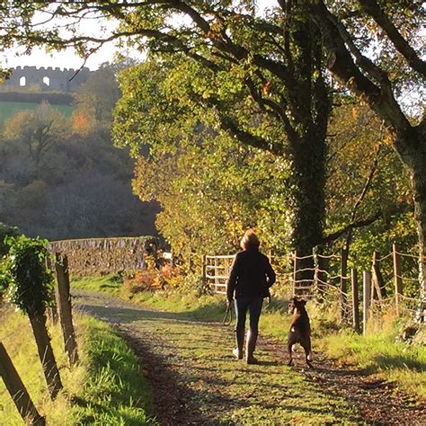 Take a walk to Restormel Castle - the Duchy nursery