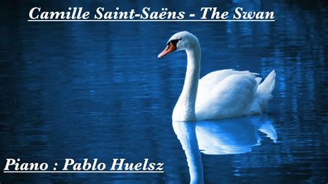 Camille Saint Sa Ns The Swan Youtube Music