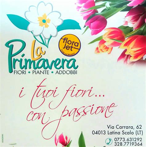 La Primavera Fiori E Piante Latina Scalo Vetrine Laziali