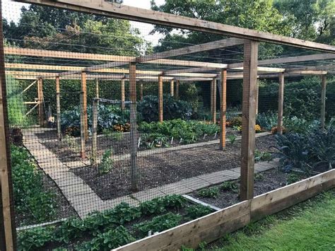 vegetable growing hacks home garden   fenced vegetable garden