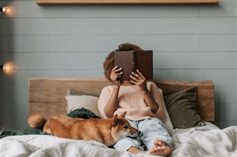 Dove Far Dormire Un Cucciolo Di Mesi Ilregnodeimici