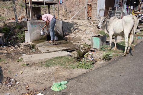 2023 10 24 Deogarh 20 Andrew Hart Flickr