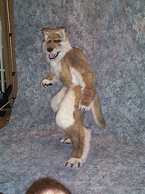 The Fursuit Archive Flint DCP00378