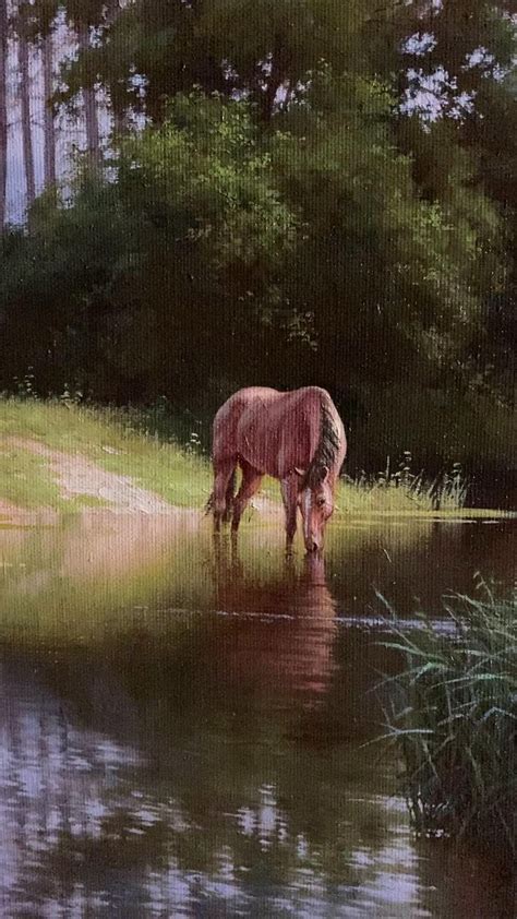 Loading... | Australia travel, Travel, Australia travel guide