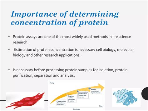 Spectrophotometric Methods For Determoination Of Proteins PPT