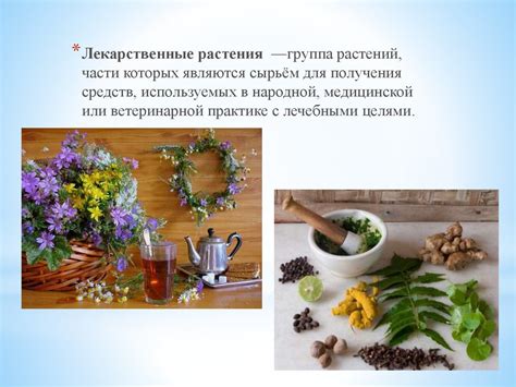 Лекарственные травы в домашней аптечке - online presentation