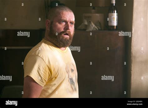 Zach Galifianakis The Hangover Part Ii 2011 Stock Photo Alamy
