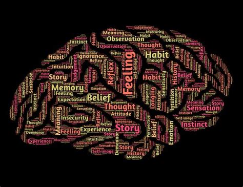 La Relaci N Entre Neurotransmisores Y Emociones Neurociencia Resumida