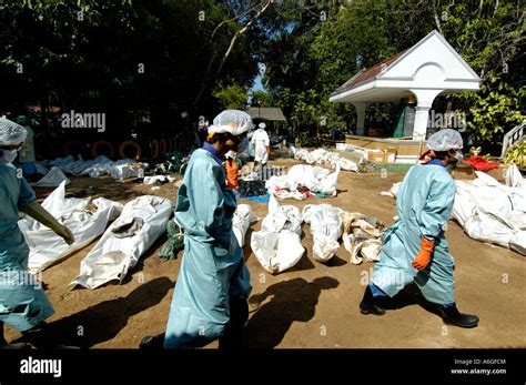 2004 Tsunami Survivors