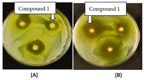 Candida albicans (A) and Staphylococcus aureus (B) treated with ...