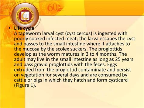 Cestodes Ppt
