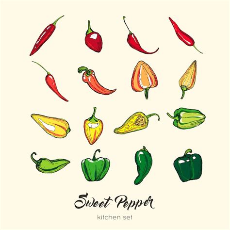 Pfeffer Isolat Set Hand Gezeichnete Illustration S E Paprika Capsicum