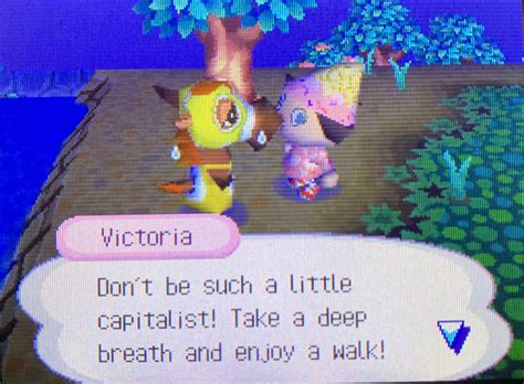 Wild World Has Some Amazing Dialogue 😂 Ranimalcrossing