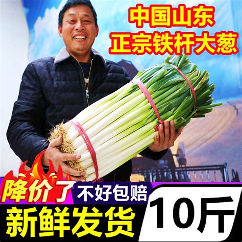 山东正宗章丘新鲜铁杆大葱10斤蔬菜蘸酱农家现挖包邮特级甜葱嫩葱 虎窝淘