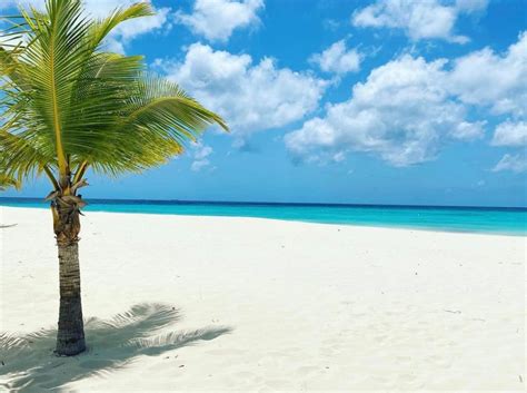 Why Aruba is the Happiest Island | Visit Aruba Blog