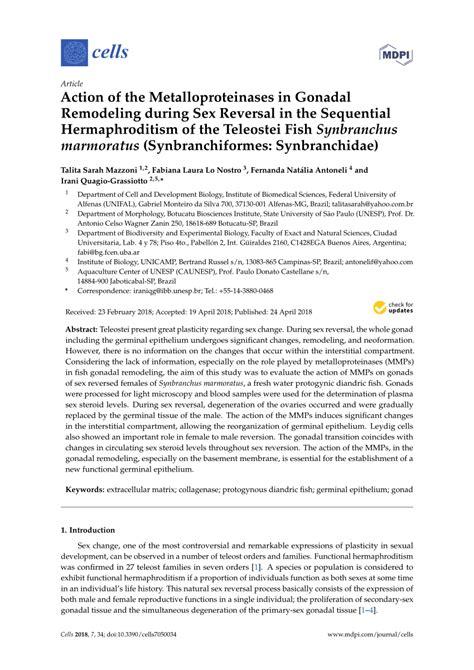 PDF Action Of The Metalloproteinases In Gonadal Remodeling During Sex Reversal In The