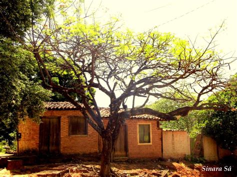 Vila Cultural Cora Coralina Recebe A Mostra Fotogr Fica Expoderiva