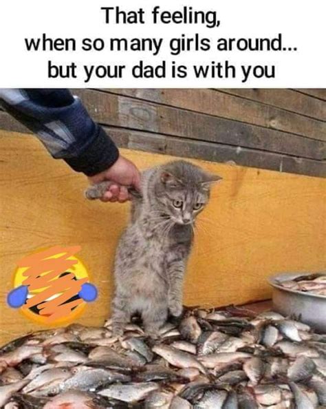So You Re A Pussy And Girls Smell Like Fish 9GAG