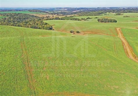 Terreno Rural S Tio Fazenda Ch Cara A Venda Em Interior