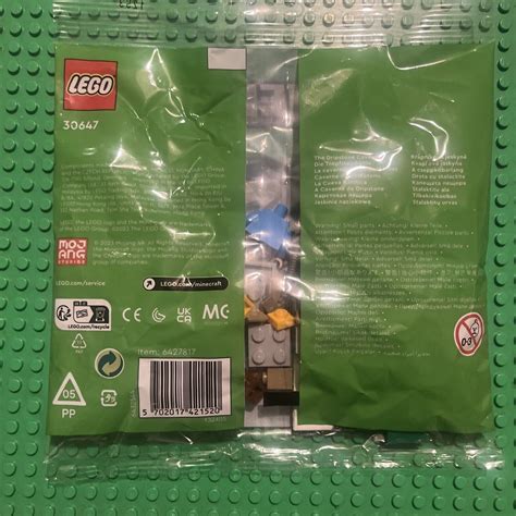 LEGO Minecraft The Dripstone Cavern 30647 For Sale Online EBay