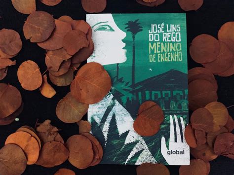 Menino De Engenho Resumo - Resumo Do Livro Menino De Engenho - RETOEDU