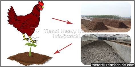 Chicken Manure And Cow Dung Which One Is Better For Organic Fertilizer