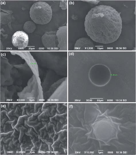 Sem Micrograph Of Uf Microcapsules A And B Wall Of The Microcapsules Download Scientific