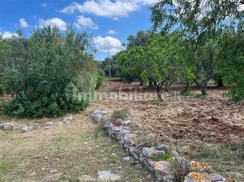 Vendita Trullo In Strada Provinciale Ceglie Francavilla Fontana Ceglie