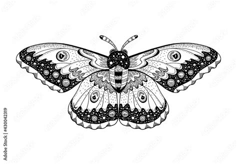 Moth tattoo. Butterfly vector black art. Universe wing moth. Celestial ...