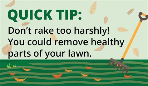 Fall in Love with Lawn Maintenance | Tips and Tricks | TruGreen