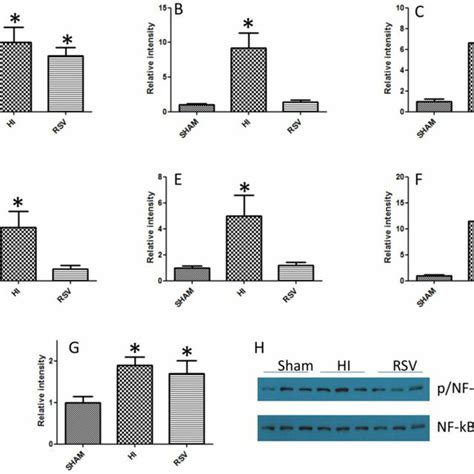 Nf κb And Nf κb Regulated Cytokine Expression In The Heart Following Hi