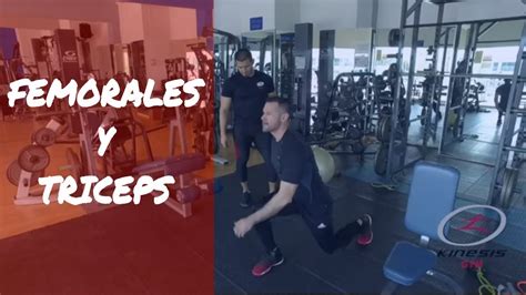 Ejercicio Con Liga Para Femorales Y Triceps Para Principiantes YouTube