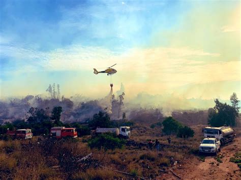 Extinguen Incendio Forestal En Reserva Lago Peñuelas Y Cancelan La Alerta Amarilla Para