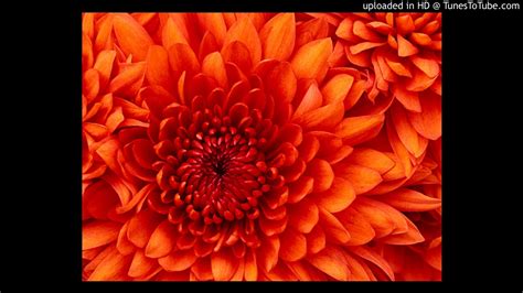 Pussy Suck My Pussy Can U Dance Mix YouTube