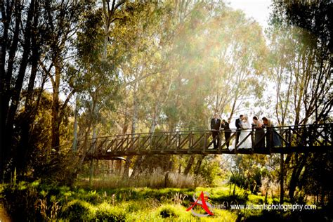 Albury Wedding Portrait Photographer Stephen Jorgensen At All Saints