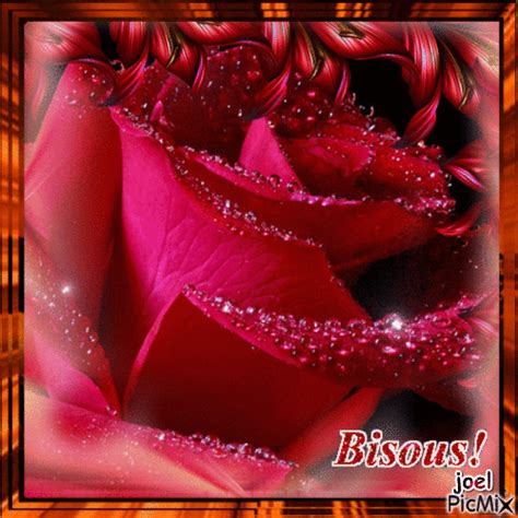Rose  Animé Gratuit Picmix