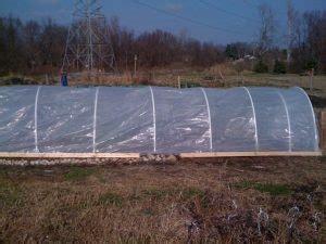 Starting Seeds With Cold Stratification Strawberry Moon Farm