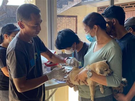 Dihantui Kasus Gigitan Anjing Rabies Pelaksanaan Maybank Marathon