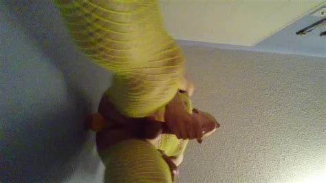 Amateur CD Rides Dildo And Shakes Ass AShemaletube