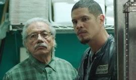 Mayans M C Rotten Tomatoes