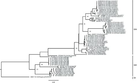 Phylogenetic analysis based on entire VP1 region. VP1 phylogenetic tree ...