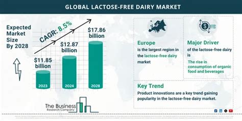 2024 2033 Global Lactose Free Dairy Market Outlook Projected Size And