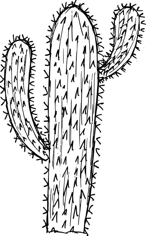 Cactus Drawing Black And White