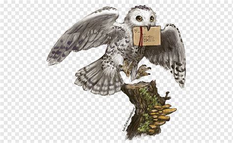 Arte coruja cinza e marrom, Harry Potter e a pedra filosofal Hedwig ...
