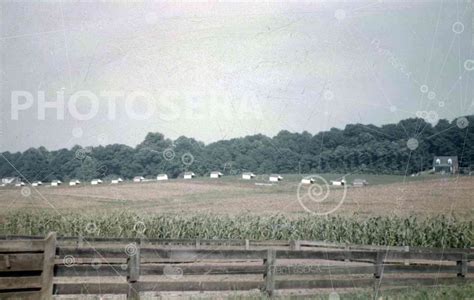 Hershey Farms” 1951 Photosera