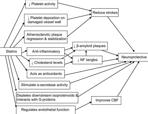 Possible beneficial effects of statins in dementia. | Download