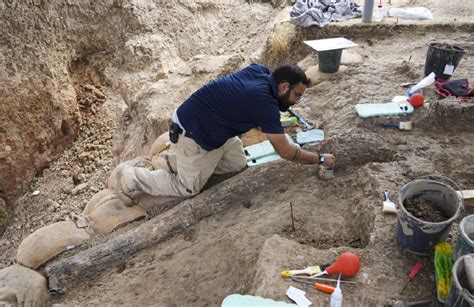 Israeli archaeologists dig up large tusk of ancient elephant