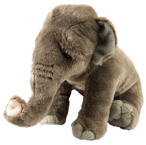 Asian Elephant Soft Toy Perth Zoo Shop